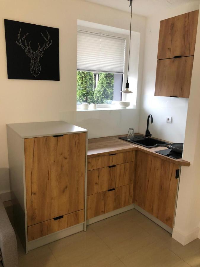 Apartament Beskidski Щирк Экстерьер фото