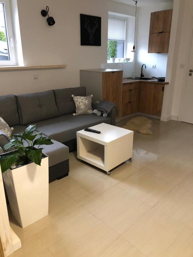 Apartament Beskidski Щирк Экстерьер фото